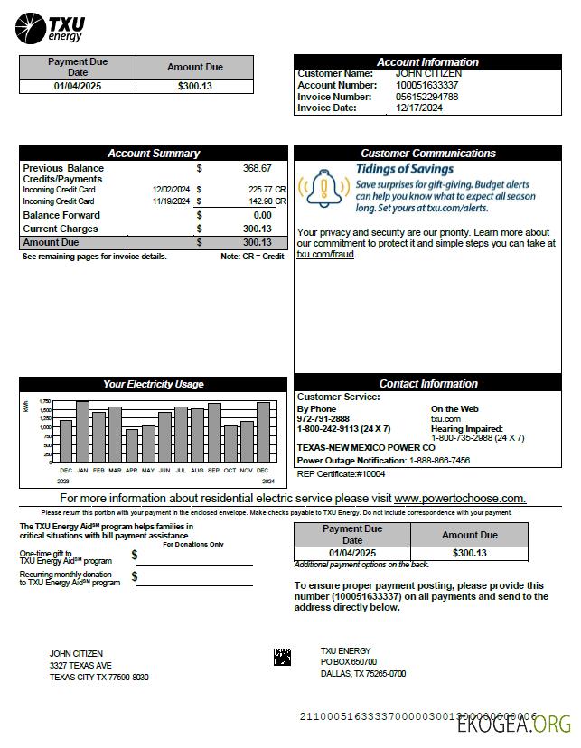 USA TXU Energy utility bill template in Word and PDF formats, version 3